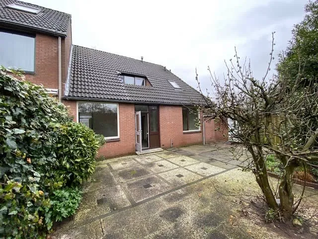 Zeearend