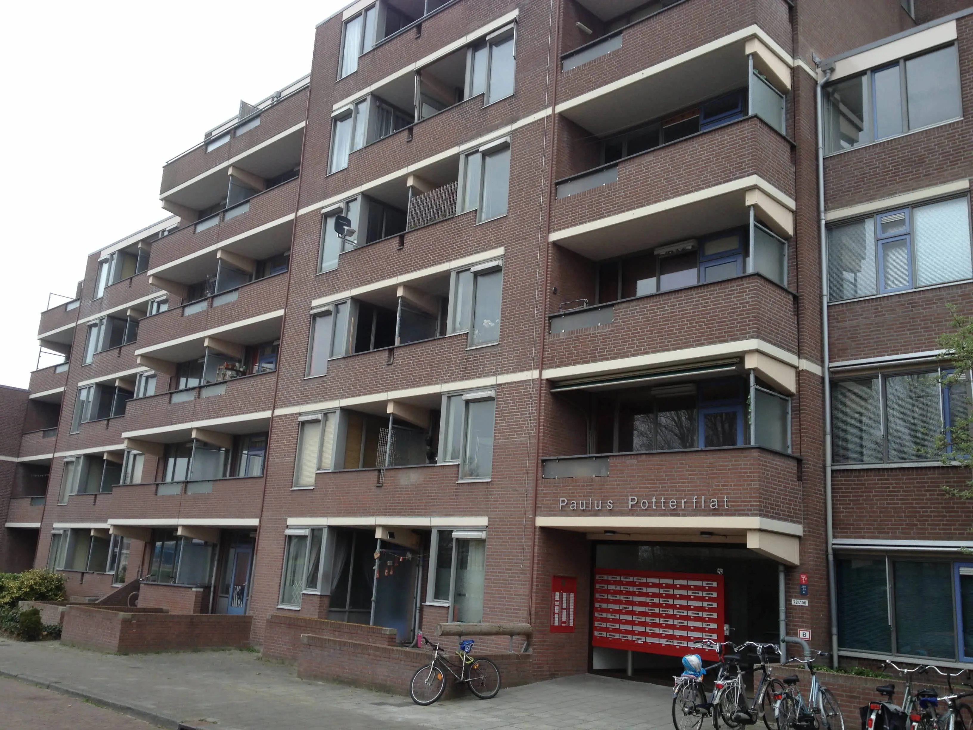 Paulus Potterstraat