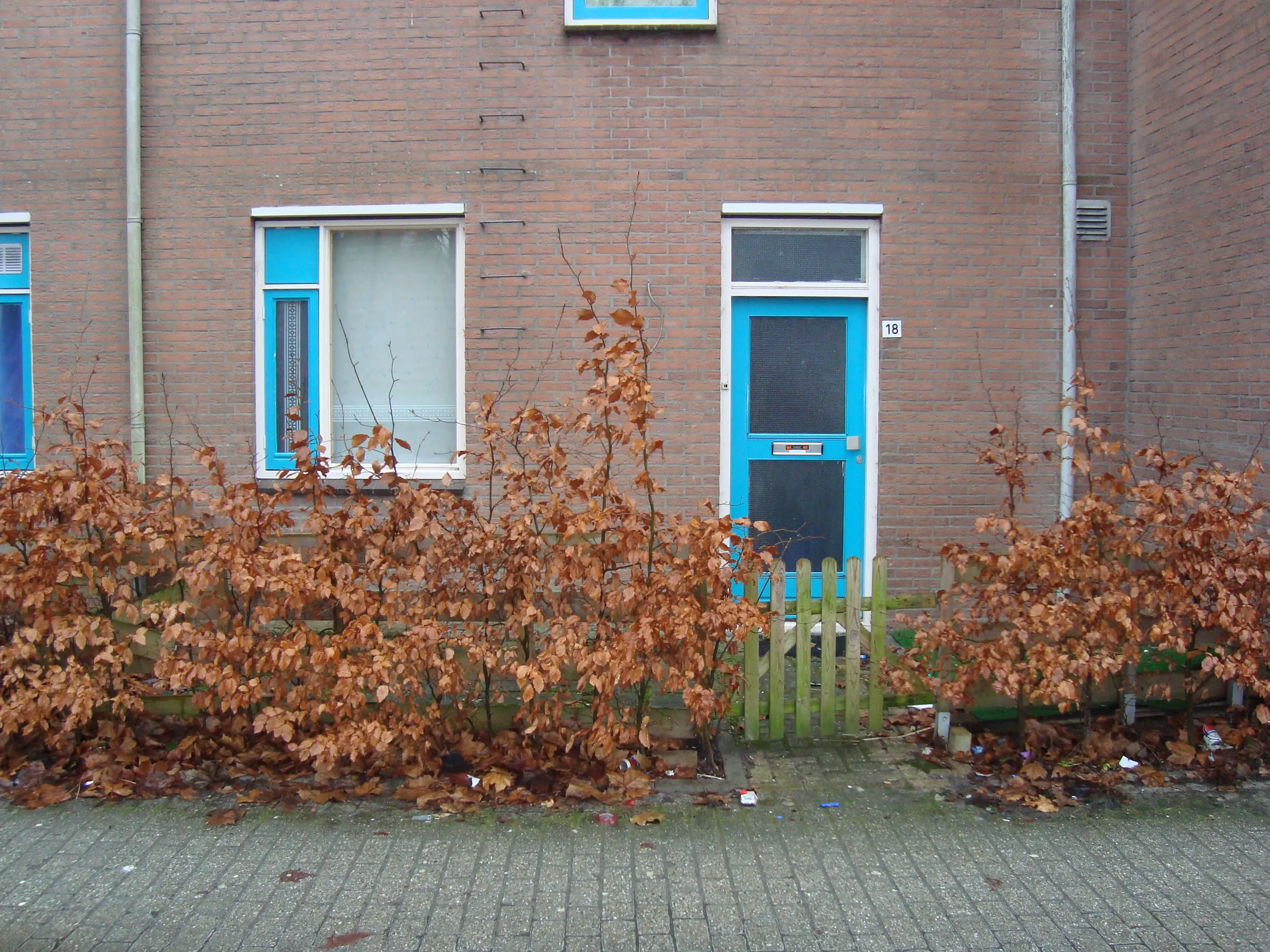 Doornbosheerd 18 9737ML Groningen