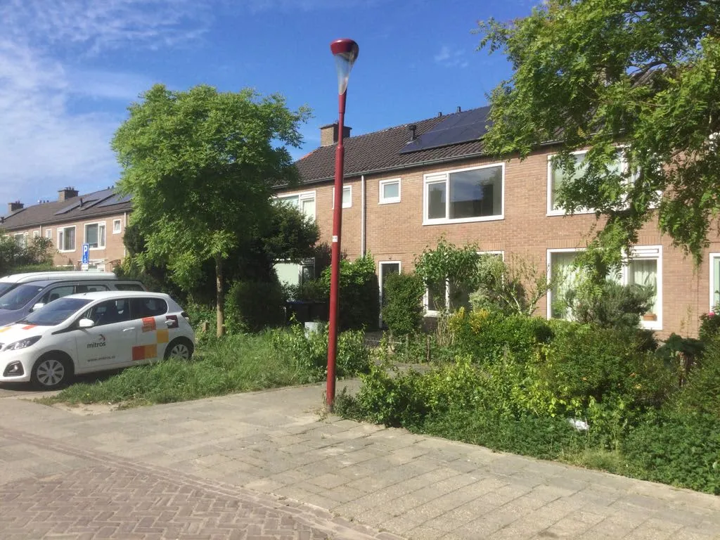 Wijnesteijnstraat