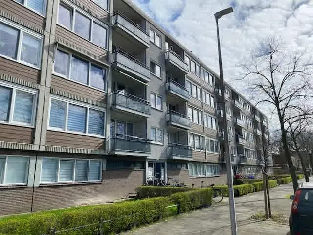 Marco Pololaan