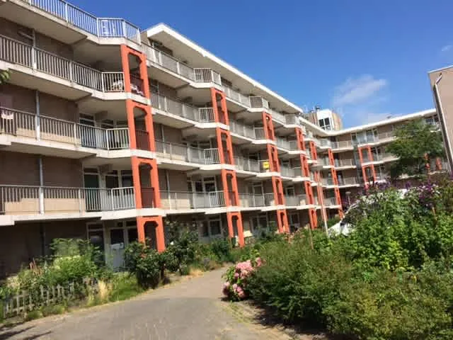 van de Puttestraat