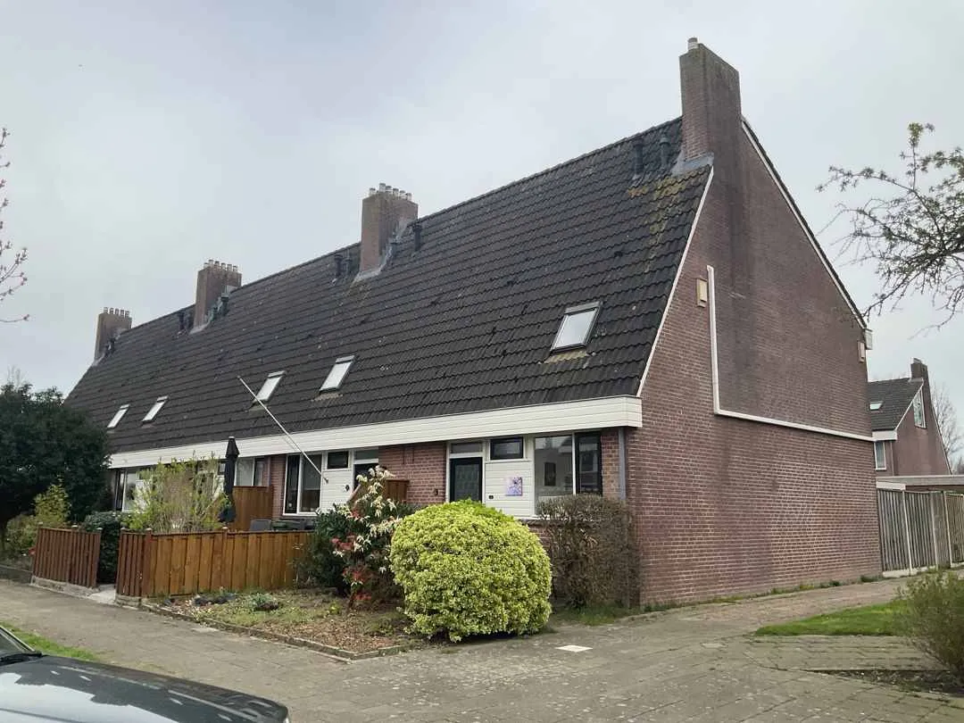 Zwanebloem