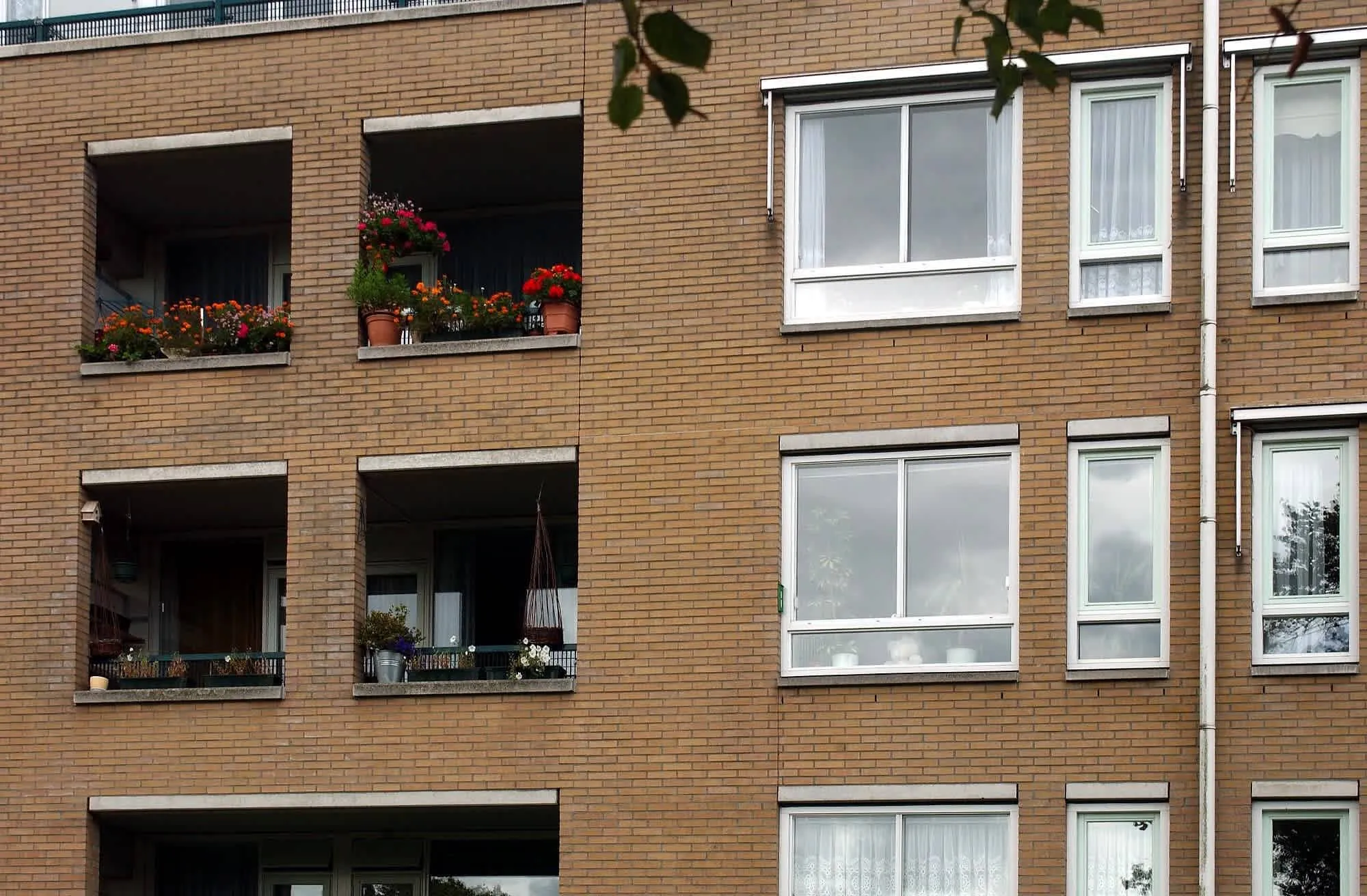 Plettenburgplantsoen