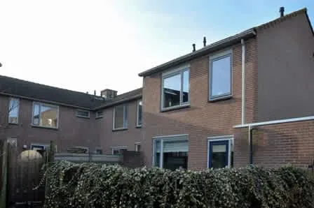 Rietkraag