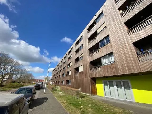 Vlindersingel