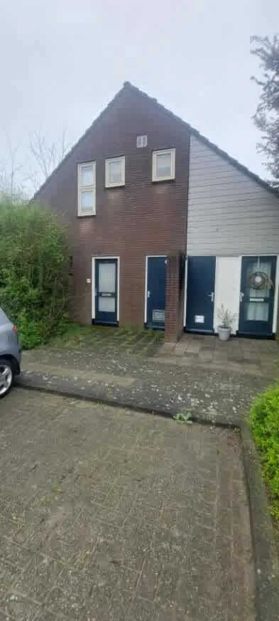 Klaver