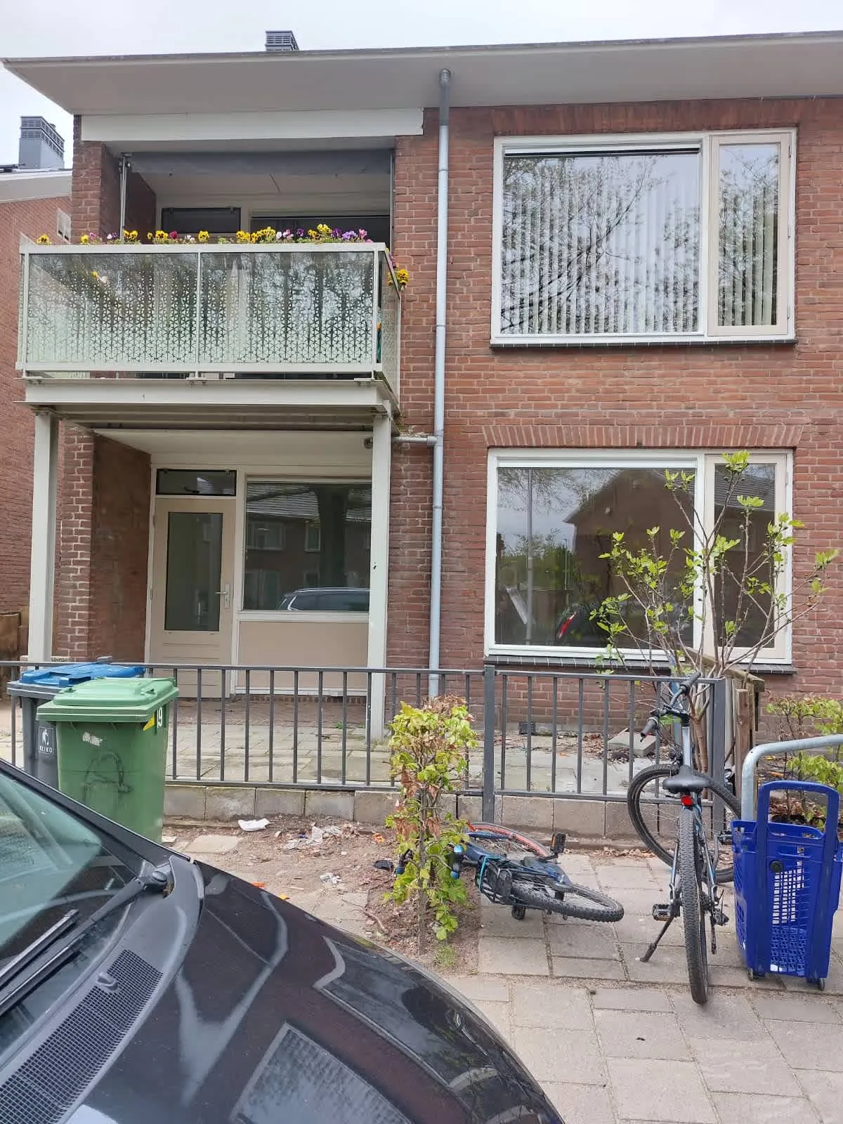van Berckstraat