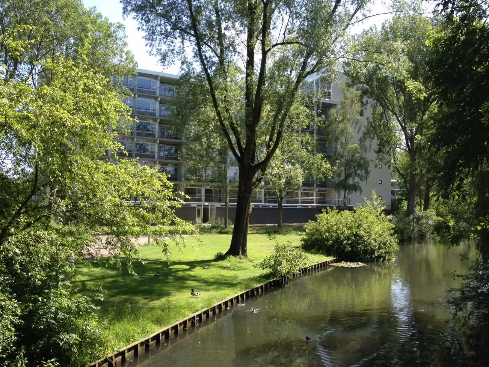 Nijenheim