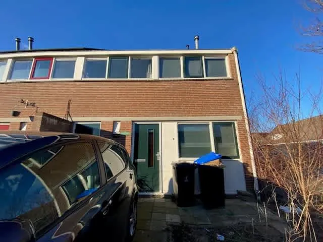 Kamelenspoor