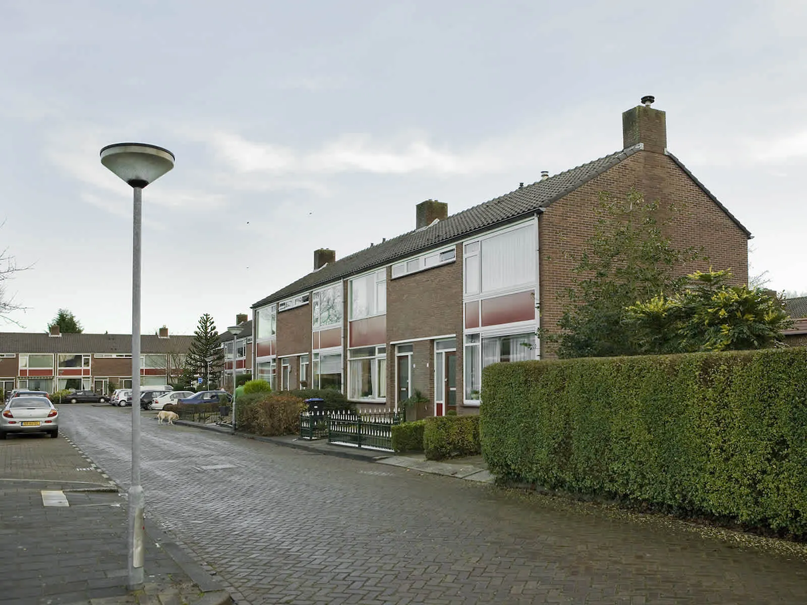 Lijsterbesstraat