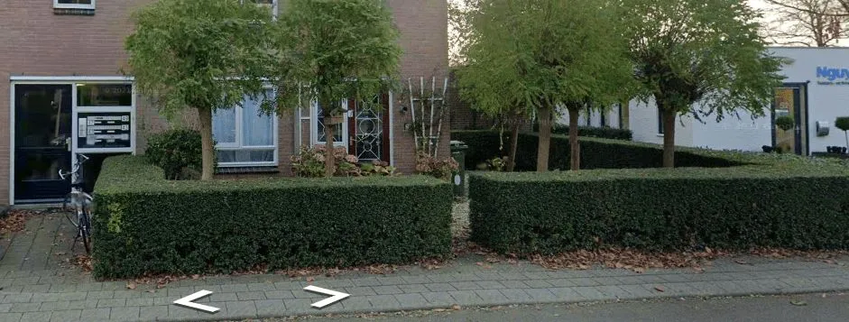 Van Schothorststraat