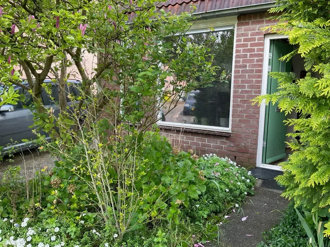 Roos Vosstraat