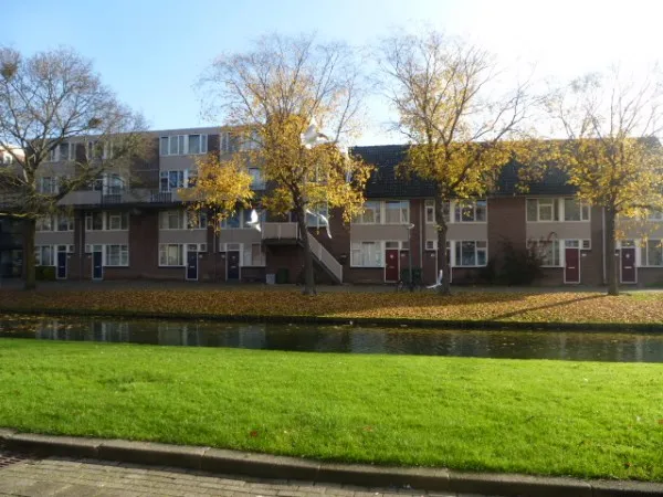 Rhijnauwensingel