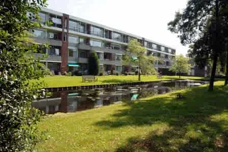 Rijngaarde