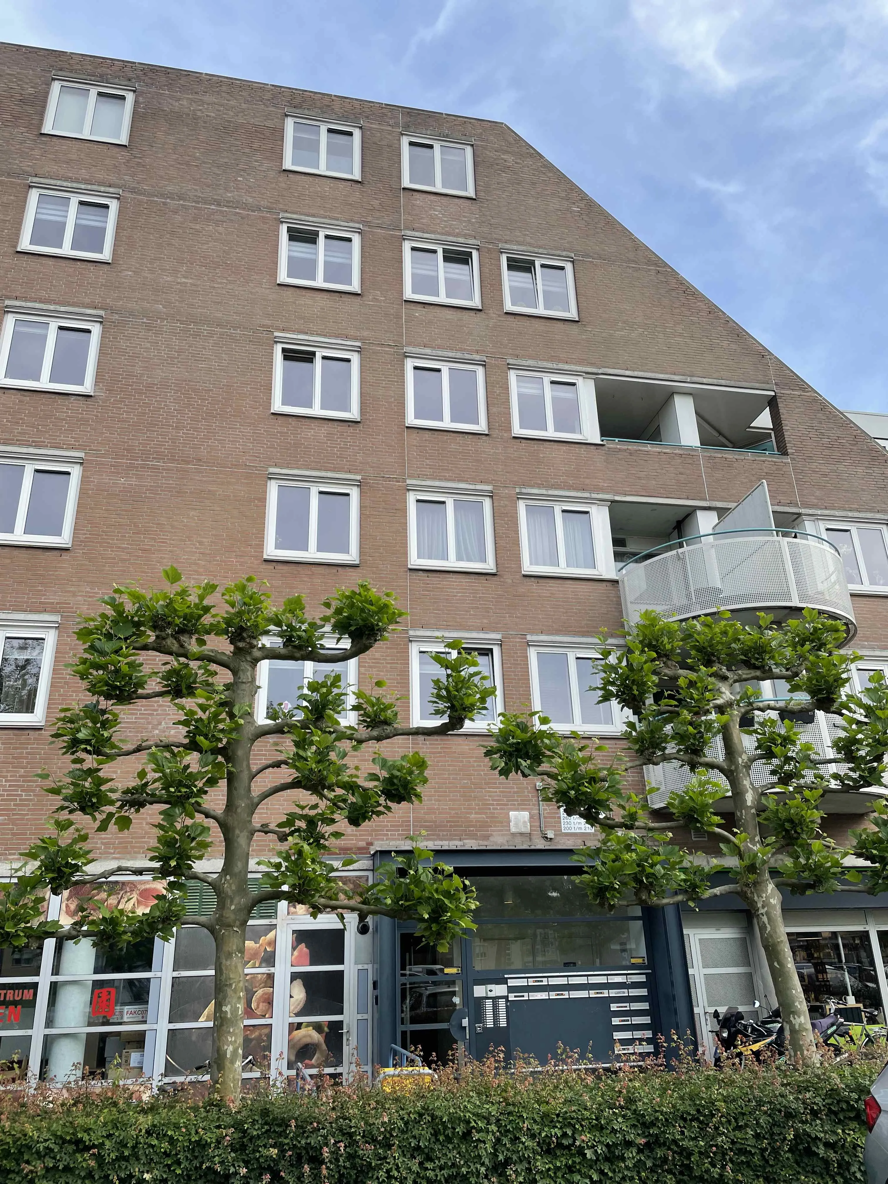 Zuidplaslaan
