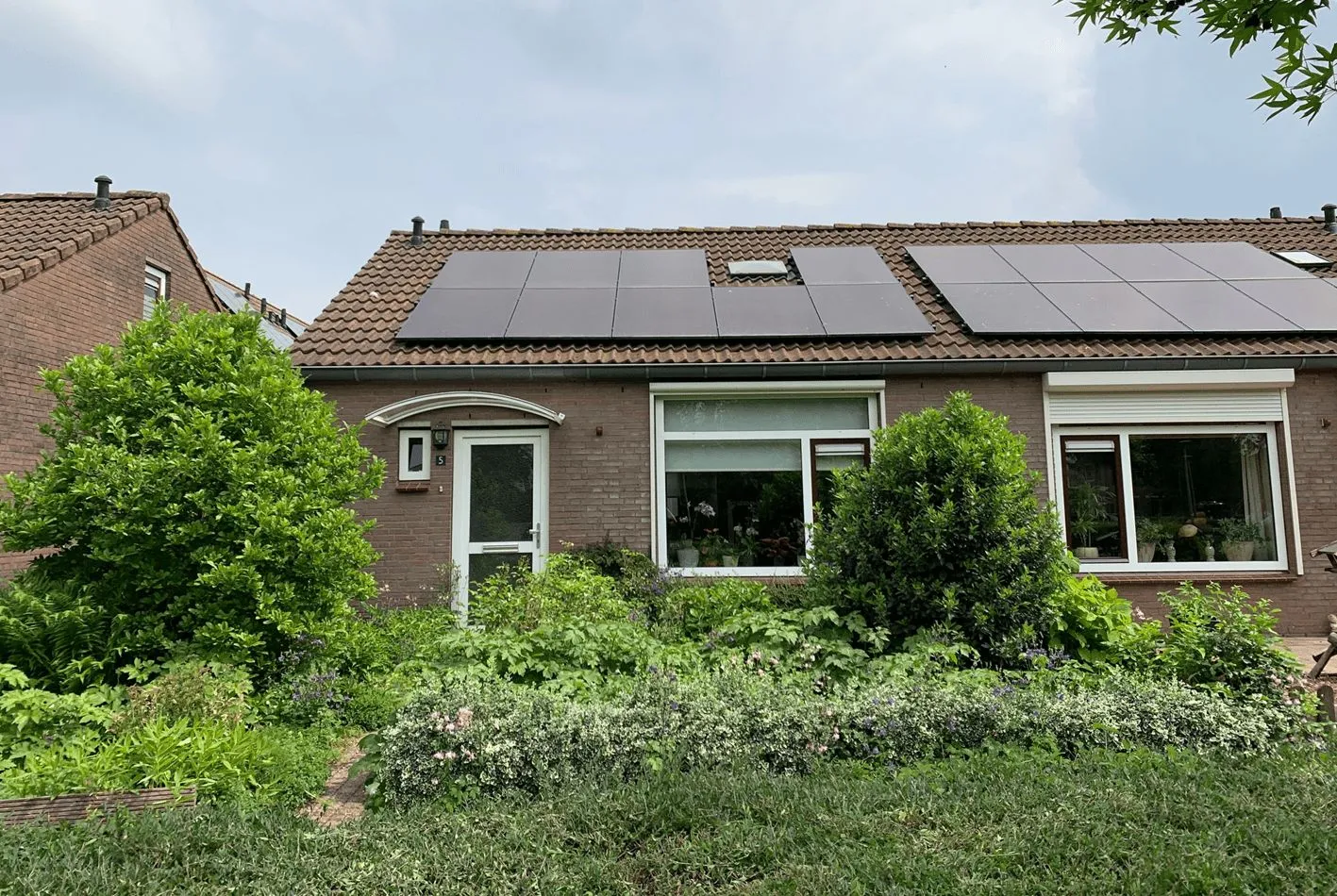 Domineesakker