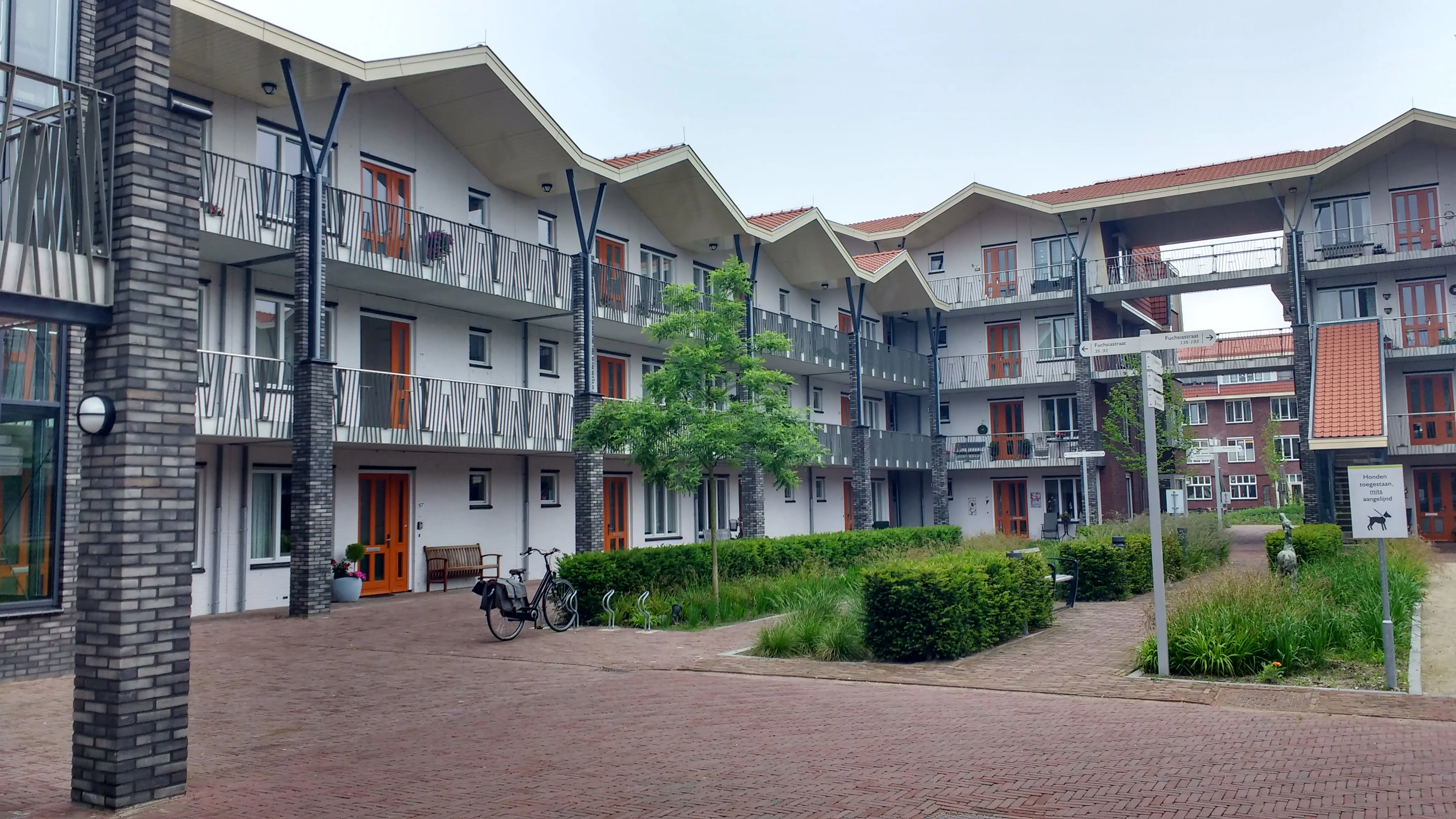 Fuchsiastraat