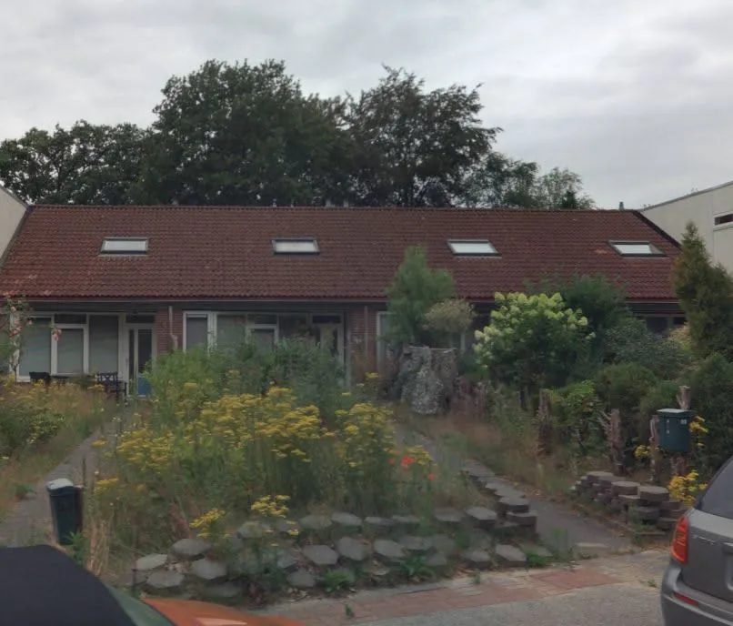 Beukenlaan