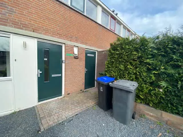 Kamelenspoor