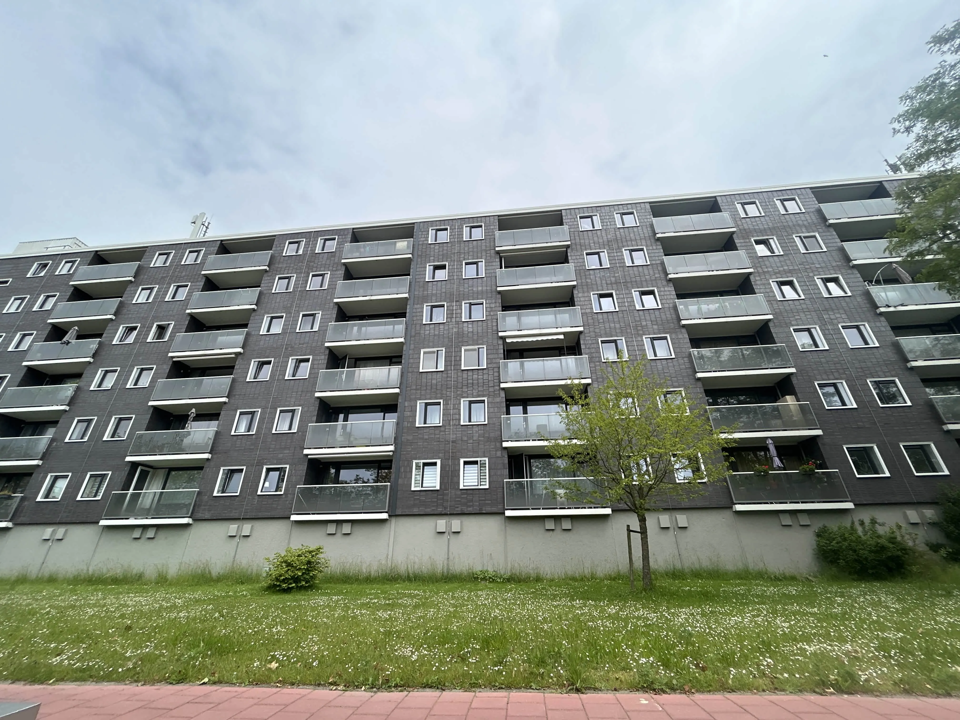 Graan voor Visch