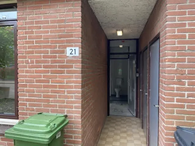 Steenarend