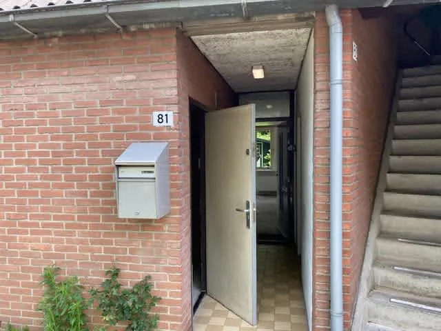 Zeearend