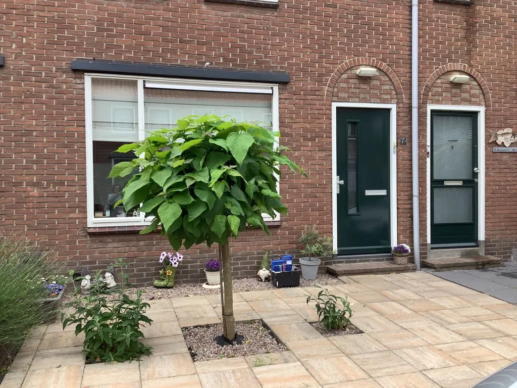 Mauritsstraat 7 2951XG Alblasserdam