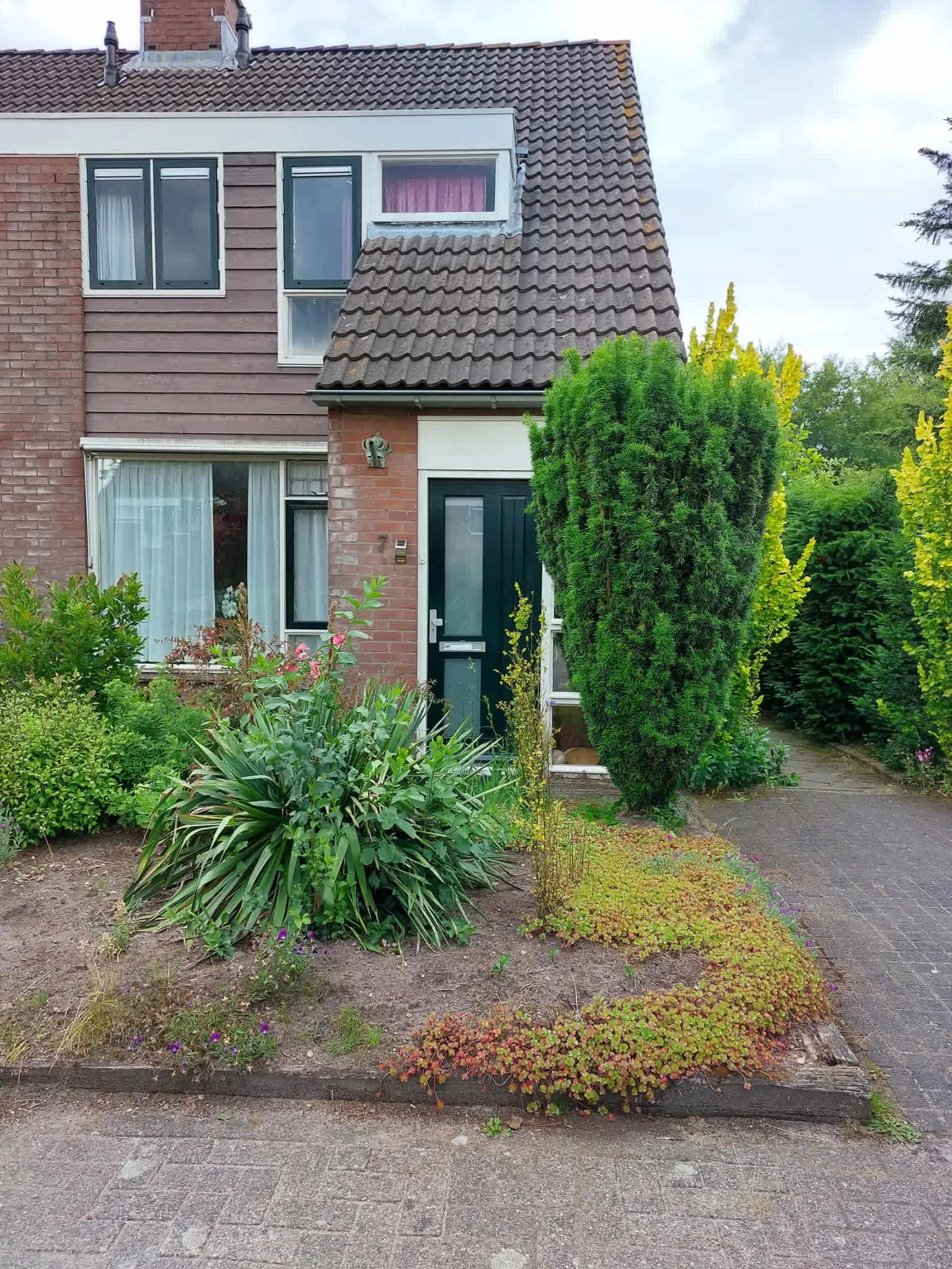 Esdoornlaan