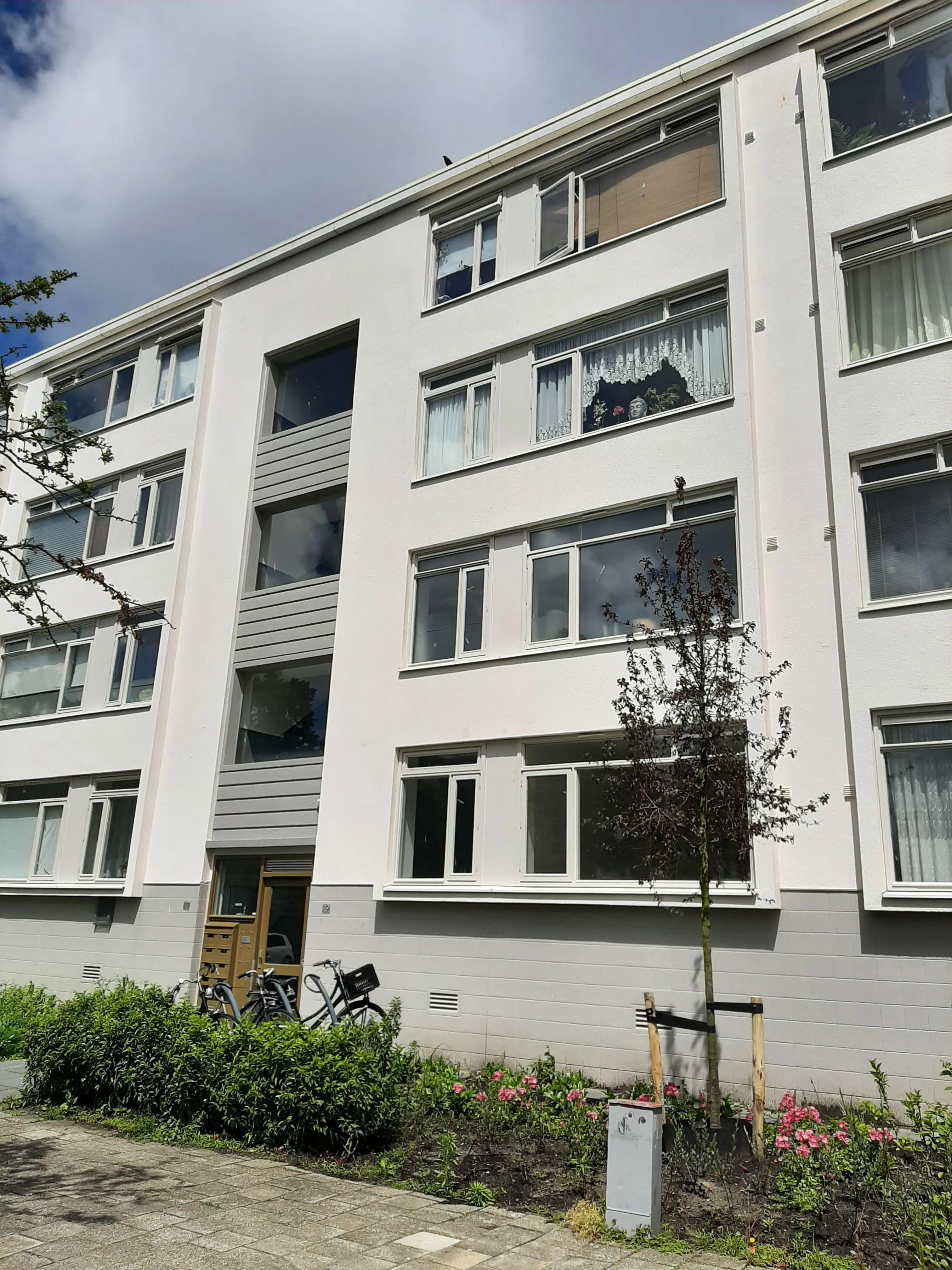 Van Loghemstraat