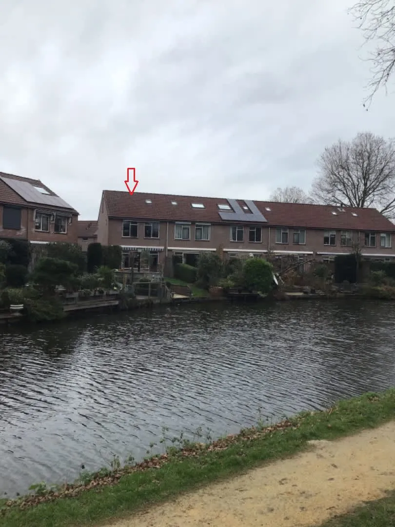 Violierlaan