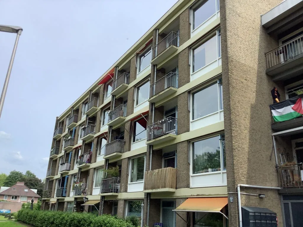 Ornsteinsingel