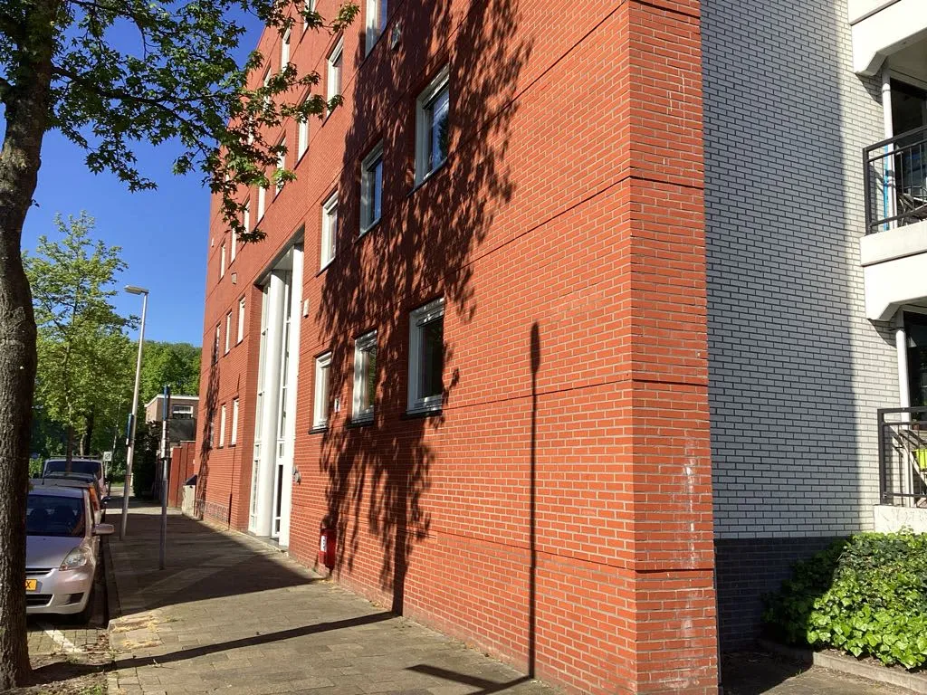 Van Heesstraat