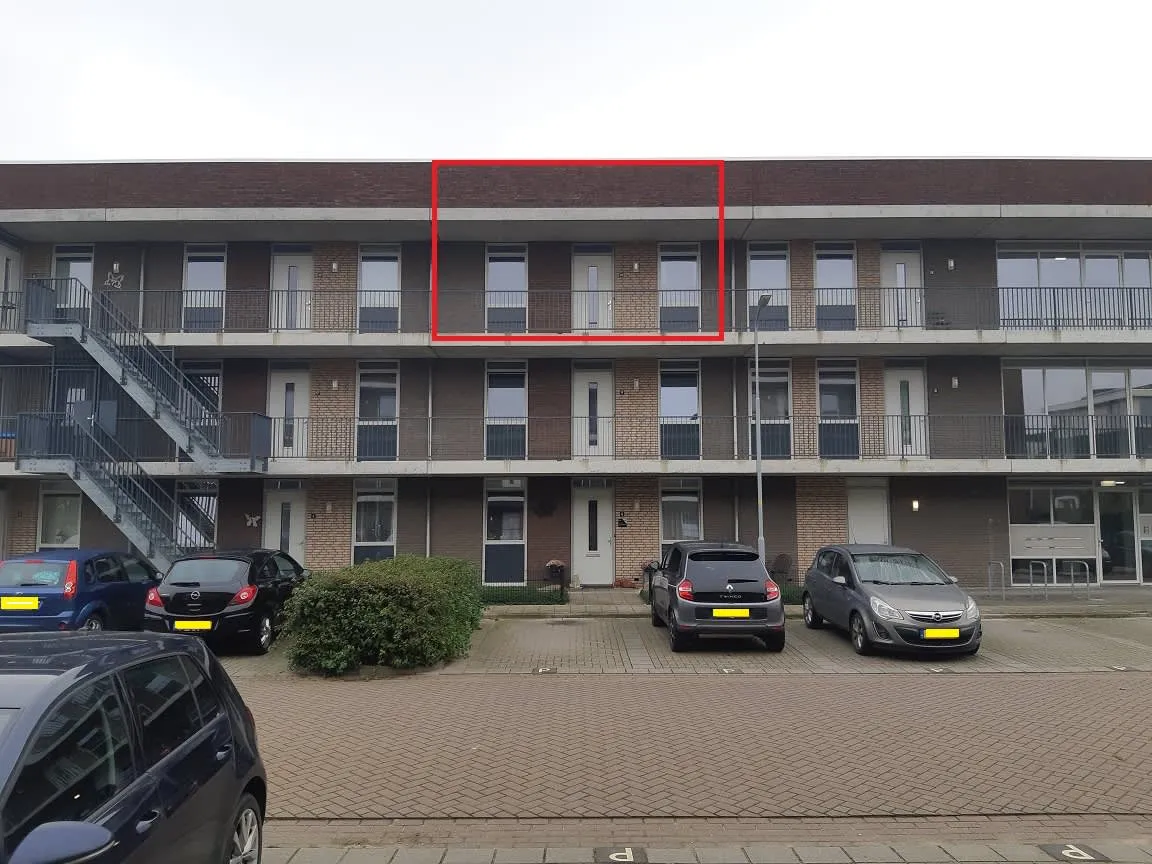 Kleine Vos