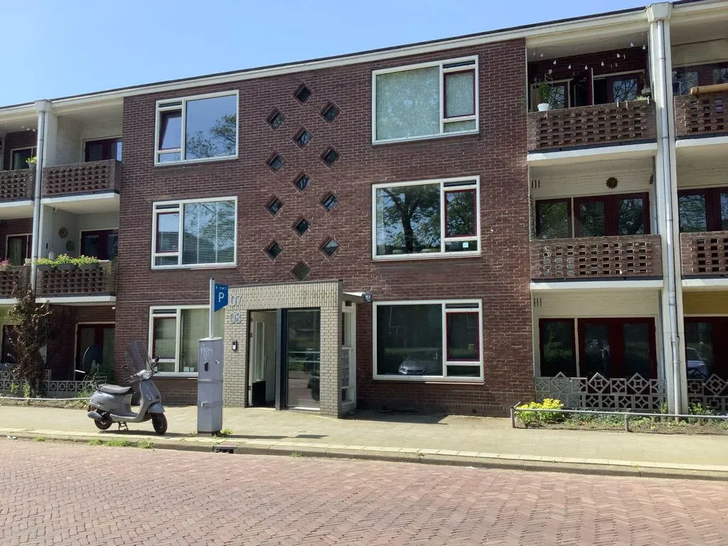 Goeman Borgesiuslaan