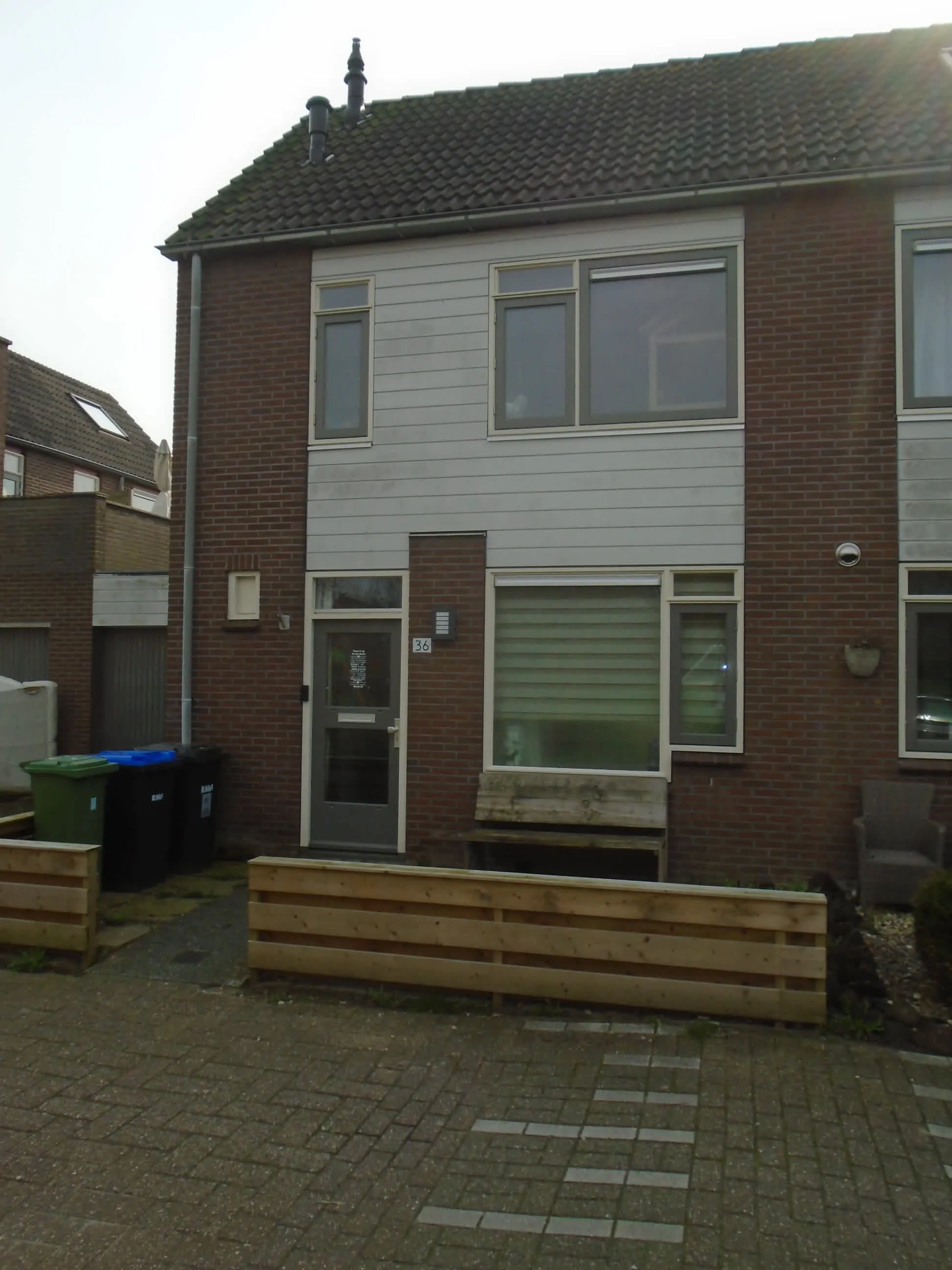 Zilvermeeuw
