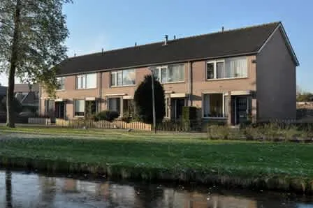 Roerdomp