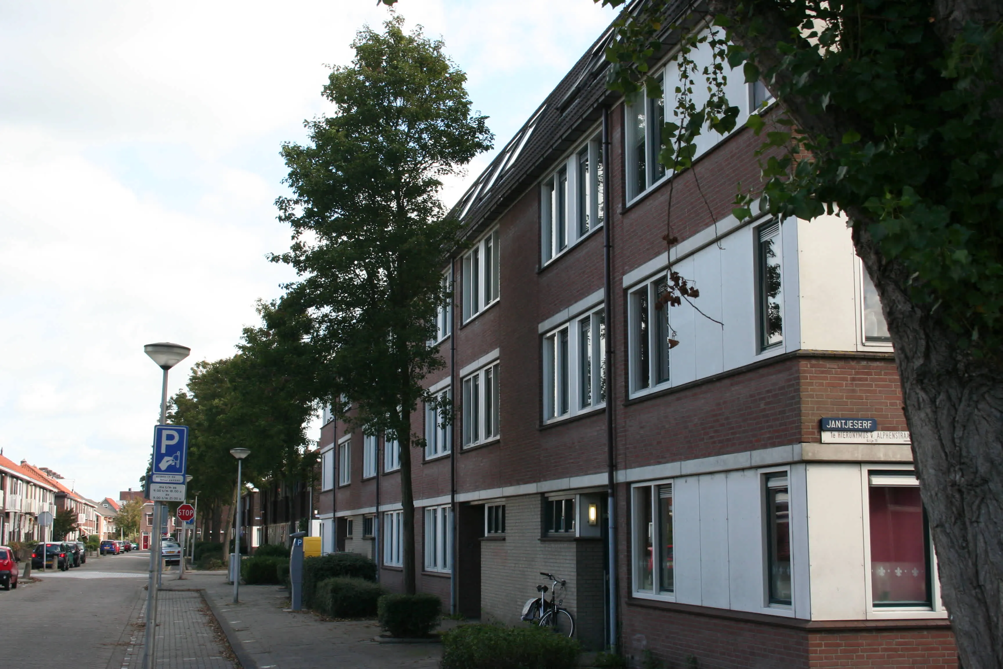 Eerste Hieronymus van Alphenstraat
