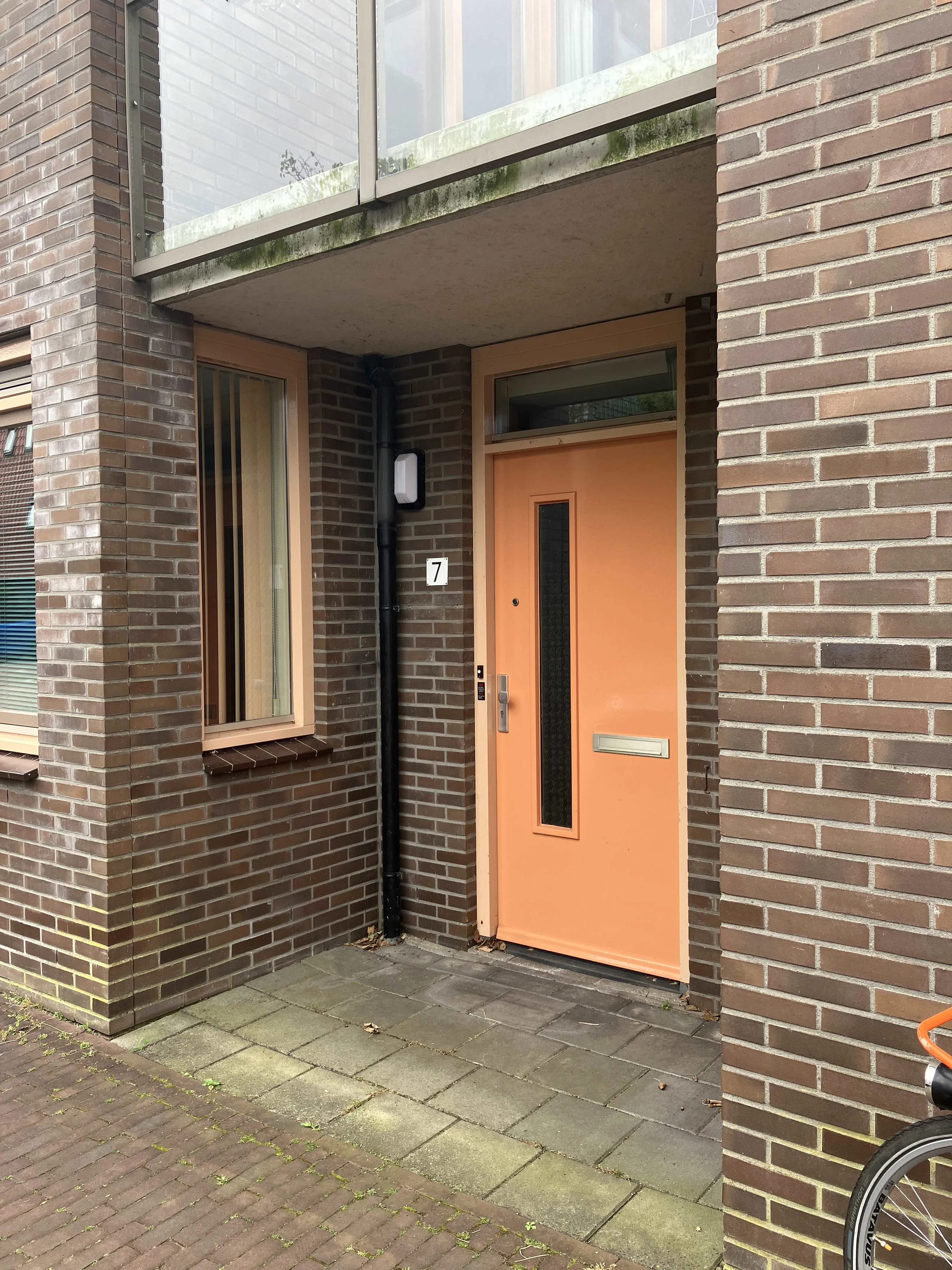 Waalsingel