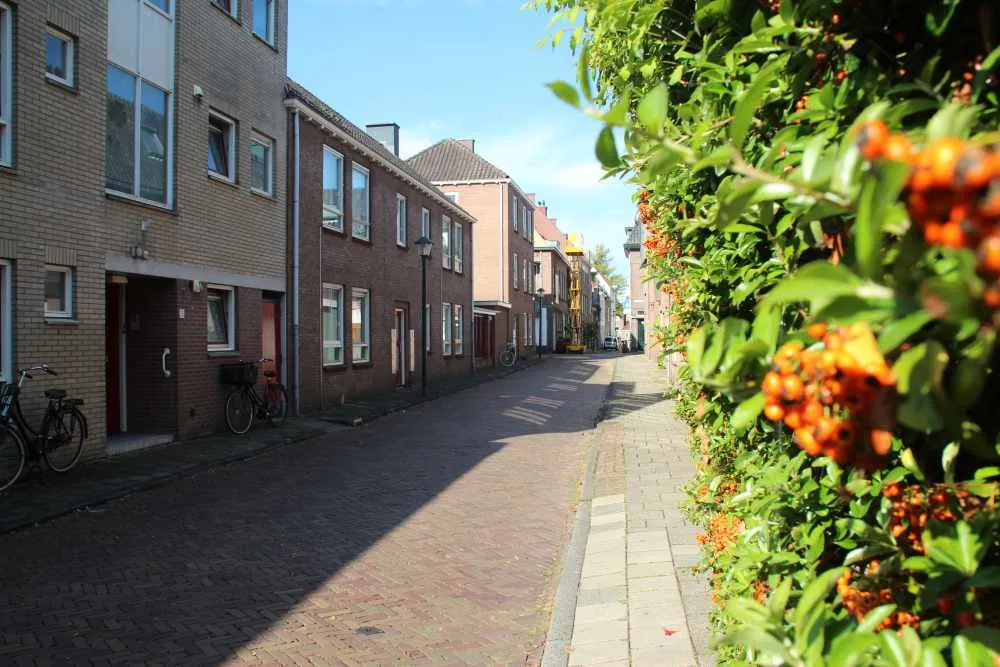 Balensteiger 13 4201XT Gorinchem