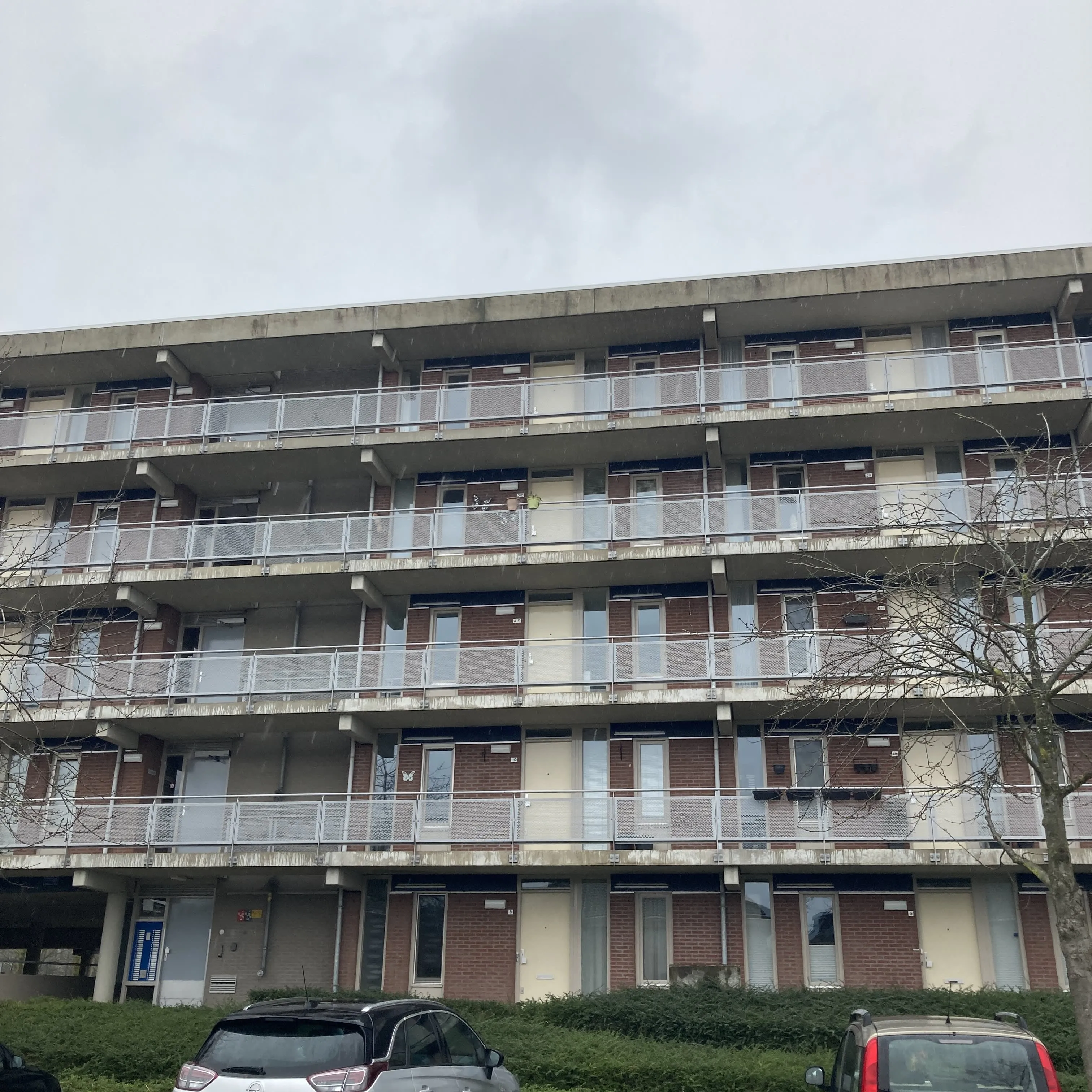 Pyramideboomgaard