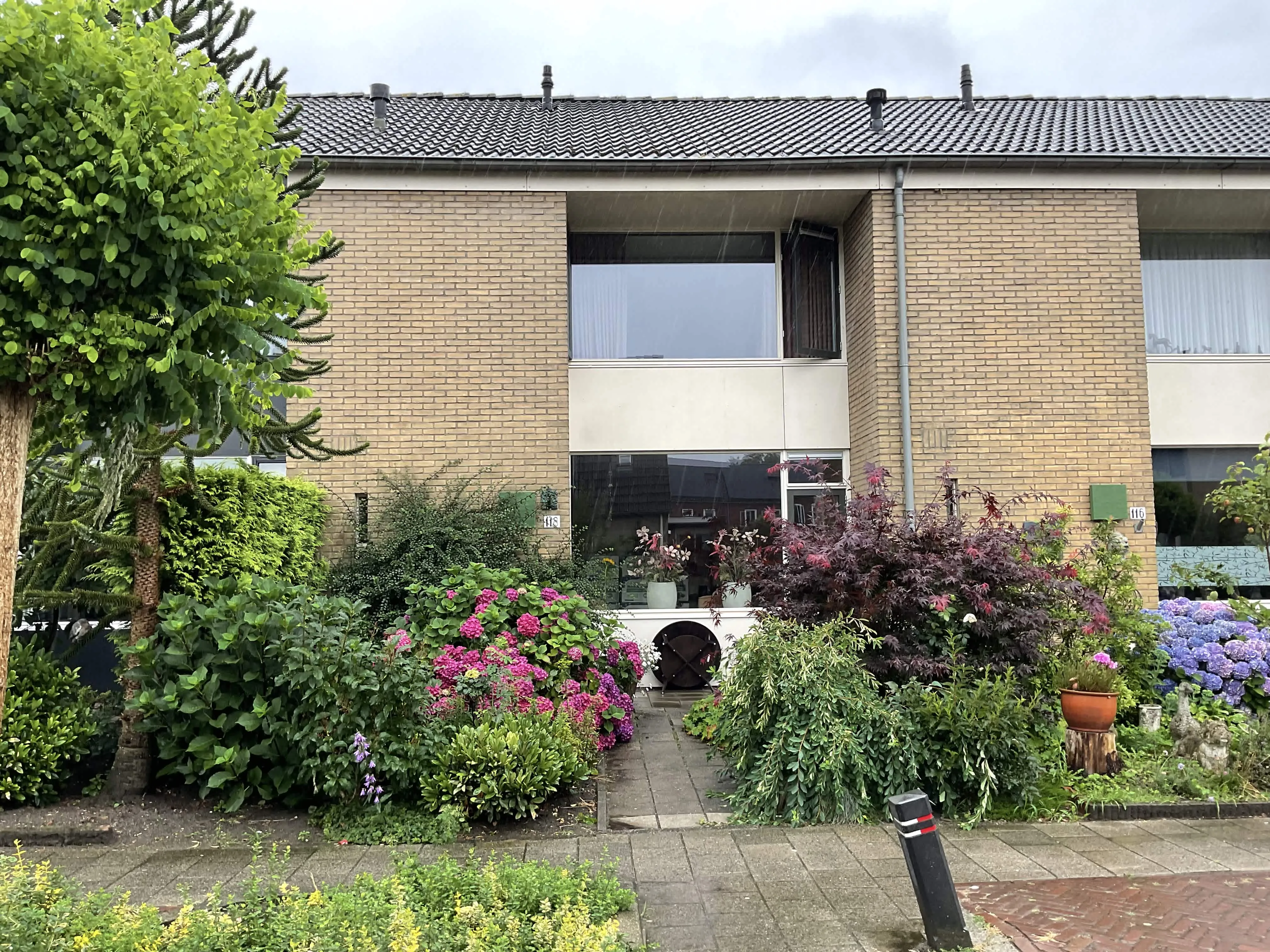 van Reedeweg