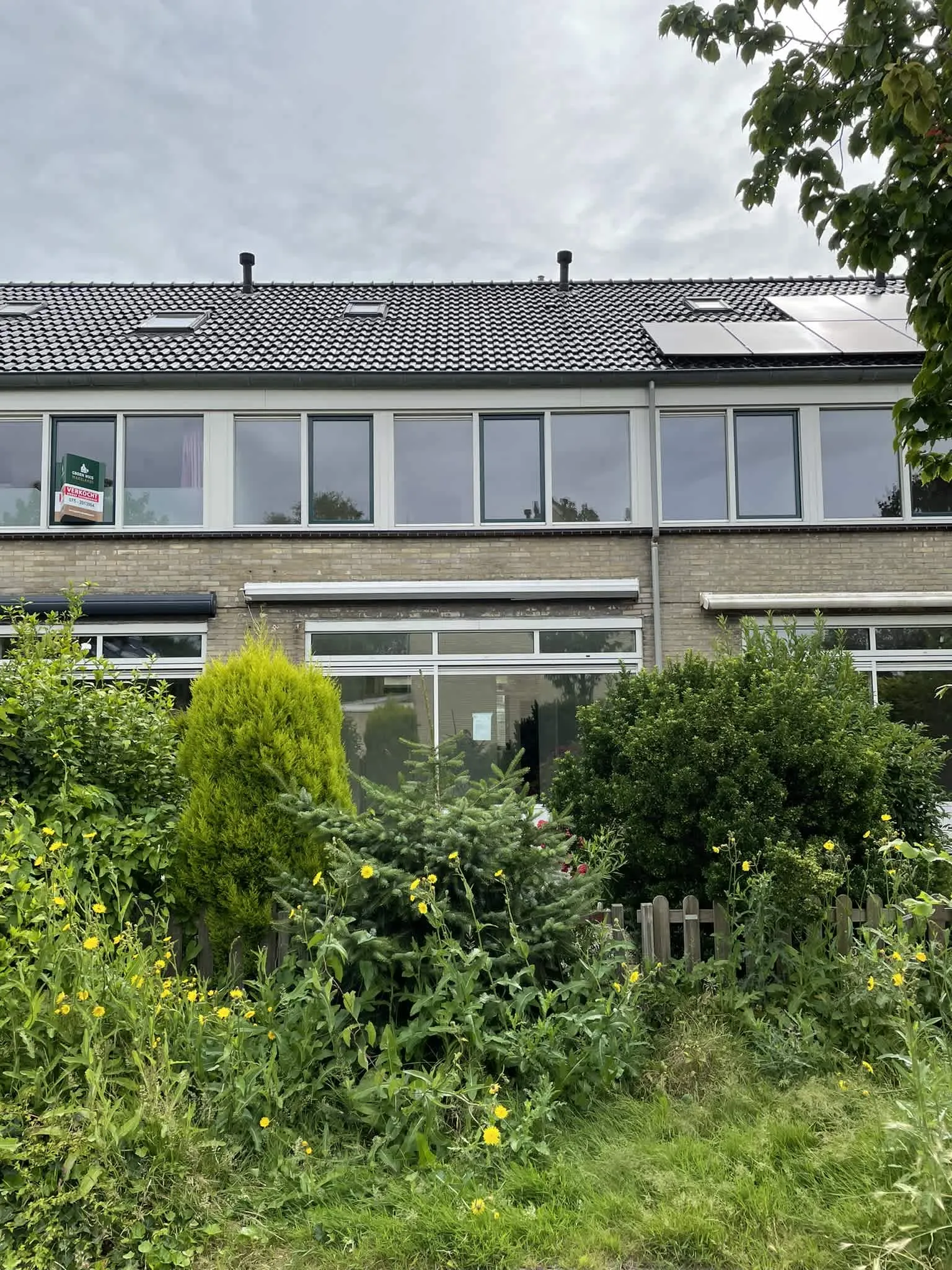 Thijssestraat