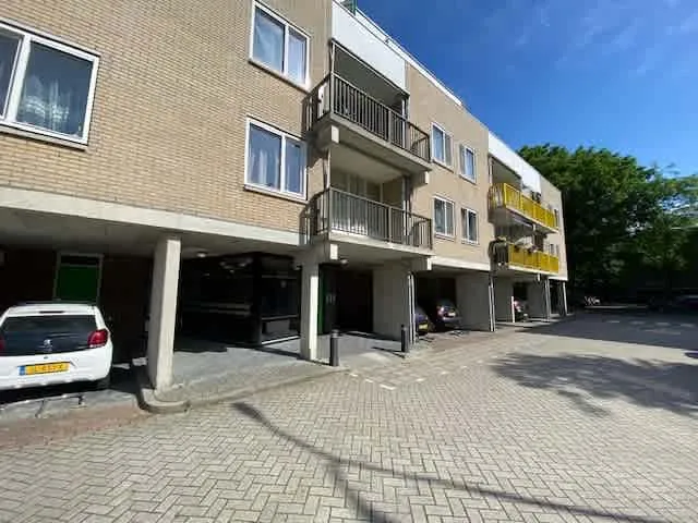 Bisonspoor