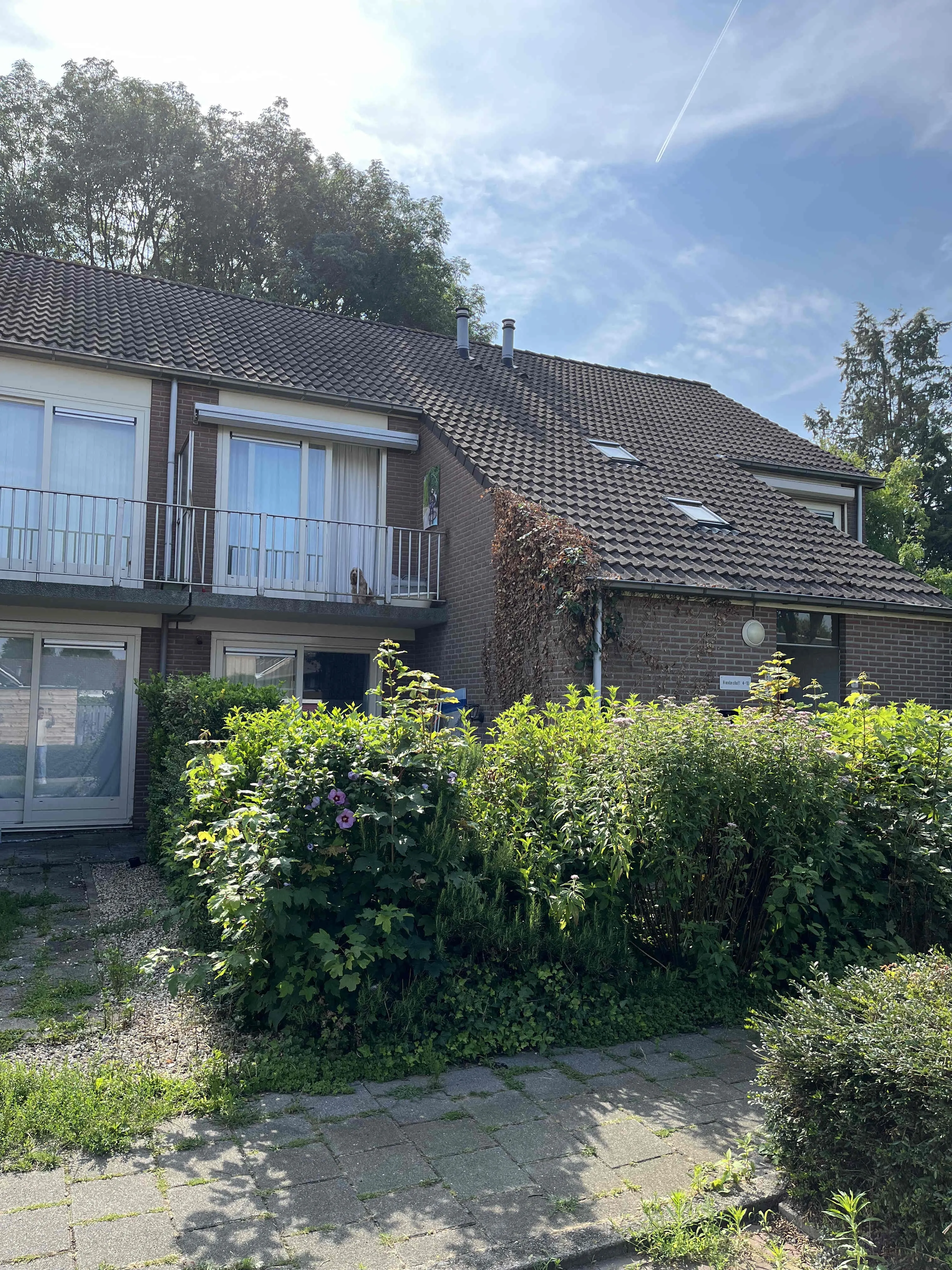 Hienkershoff