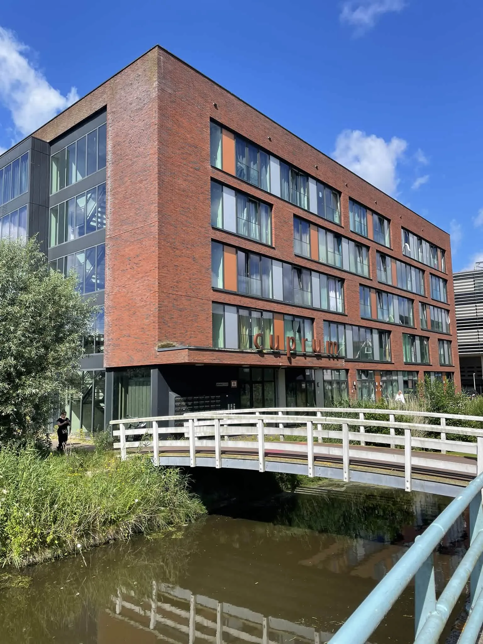 Amberhout