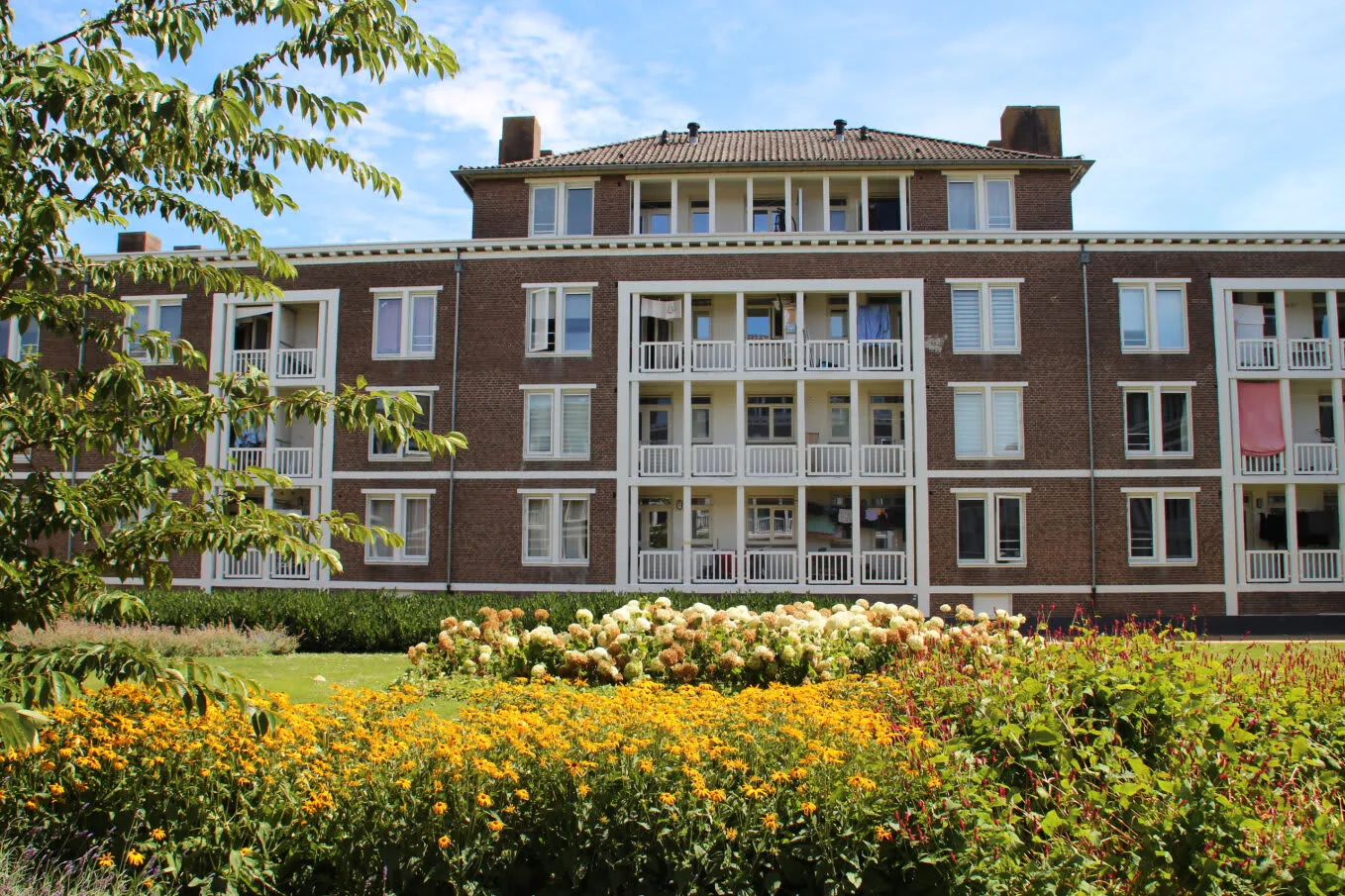 Hellebardierstraat