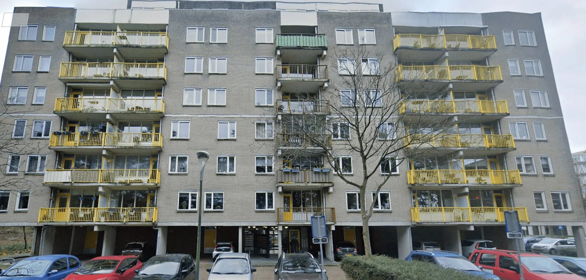 Bisonspoor