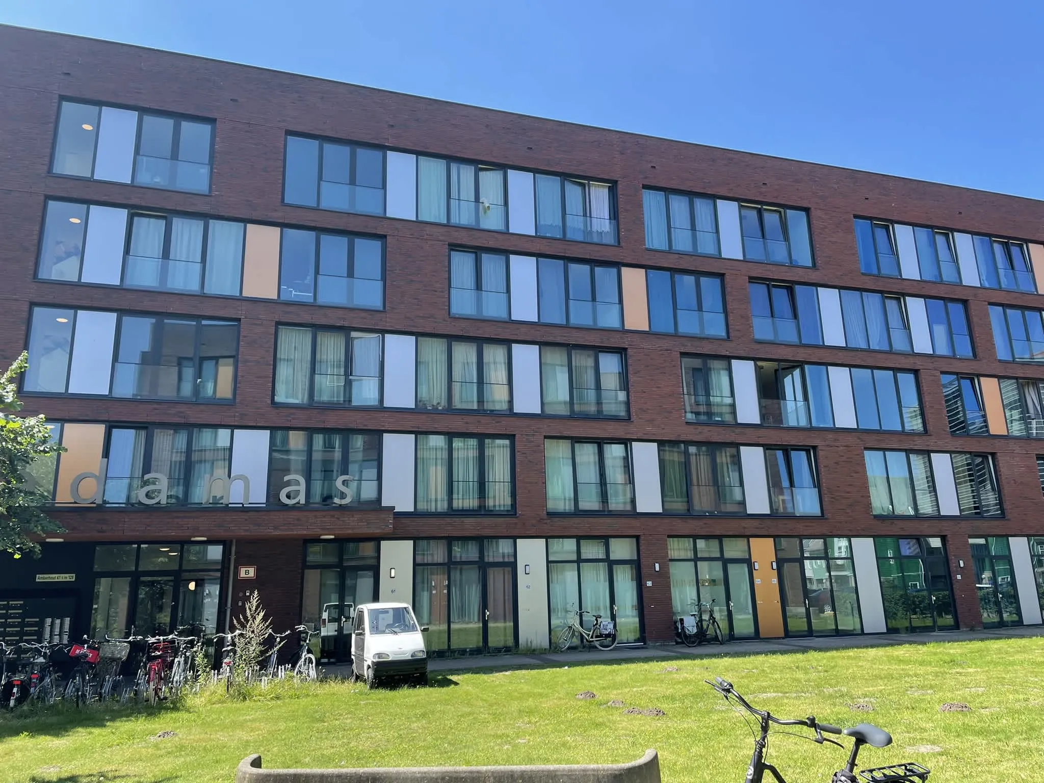 Amberhout