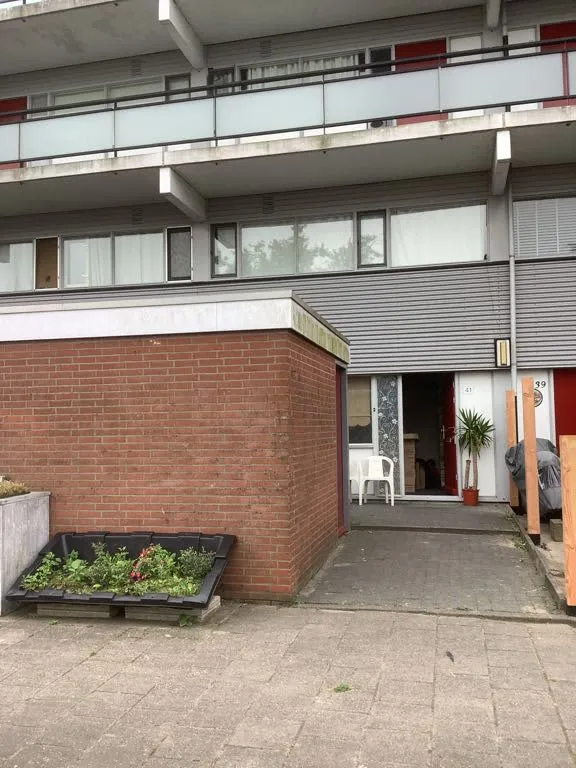 Aalbersestraat